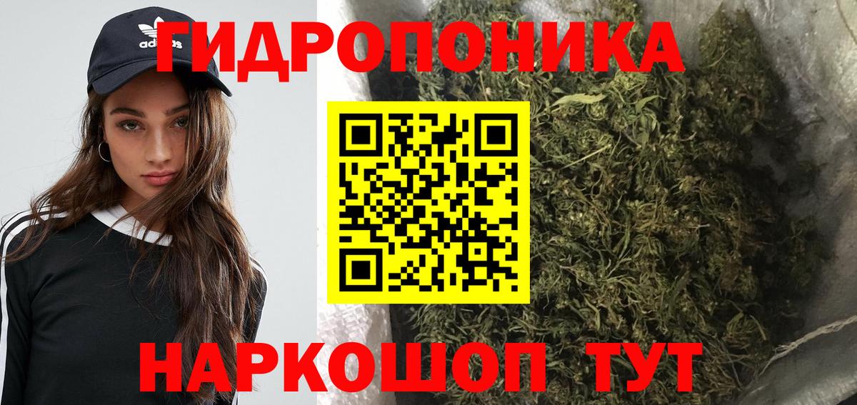 Бошки марихуана марихуана Дивногорск